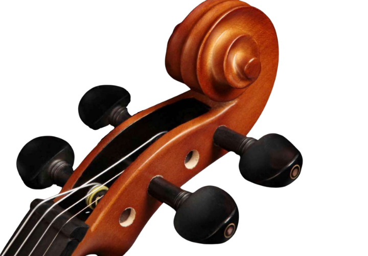 Arco e Acessórios Inclusos