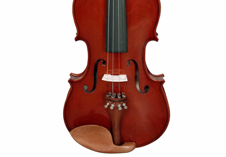 Arco Octogonal Crina Animal e Case Térmico