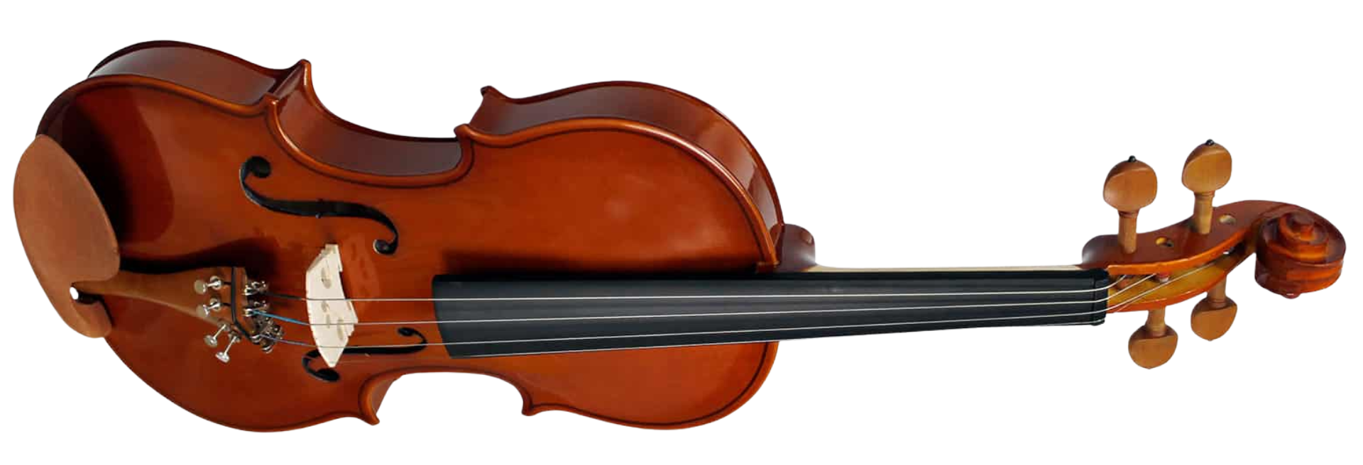 Violino Giannini GVS 4/4 Natural