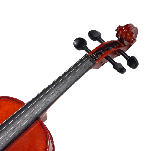 Cravelhas Ébano e Microafinadores Removíveis