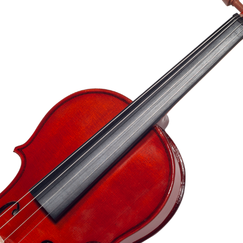 Corpo Maple Sólido e Espelho Ébano