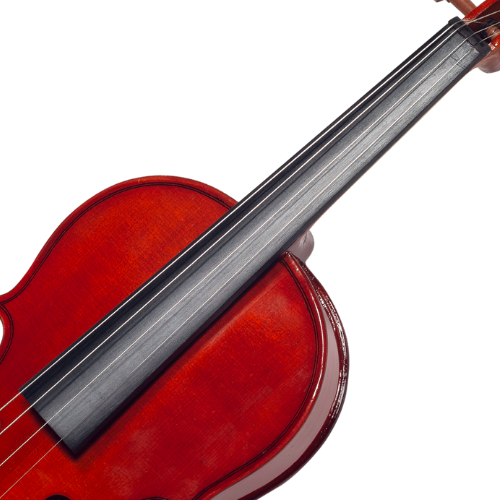 Fundo Maple Maciço Boxwood