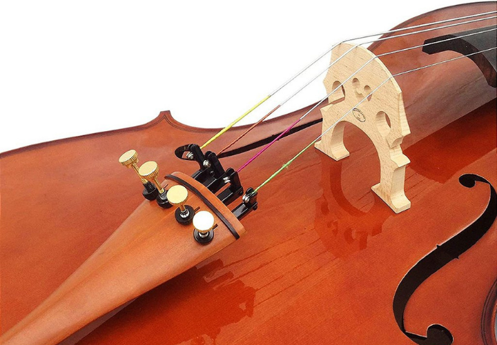 Tampo Spruce Maciço