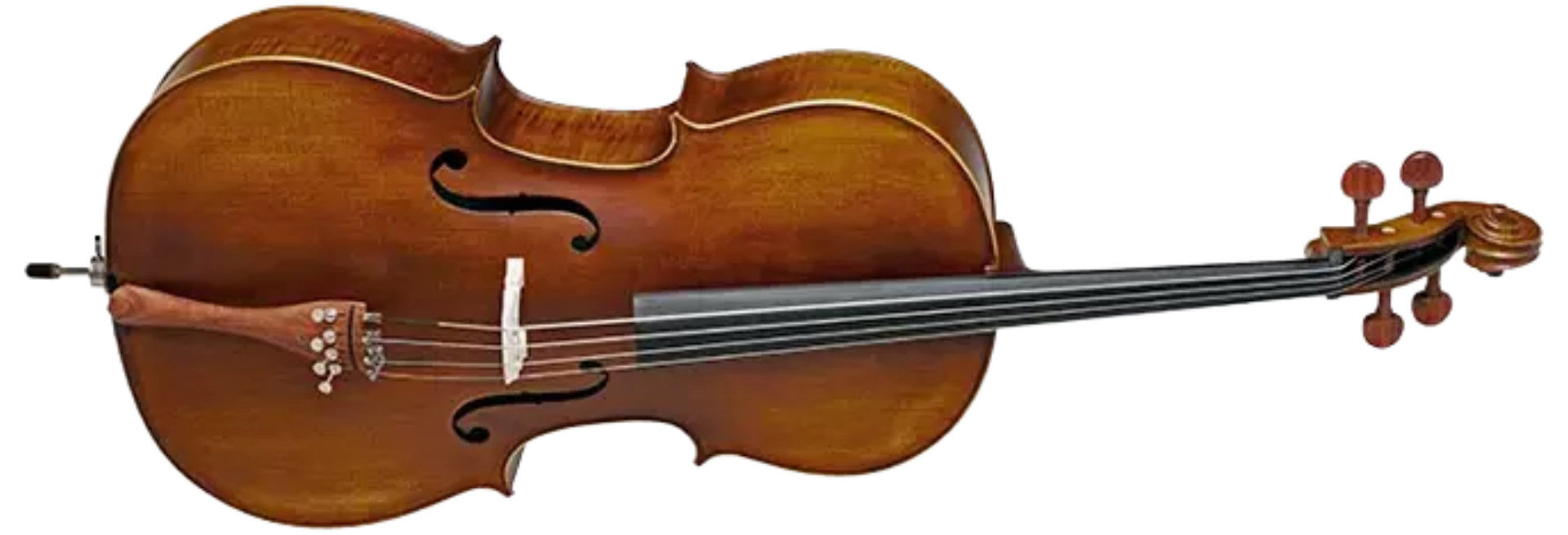 Violoncelo Eagle CE210 3/4