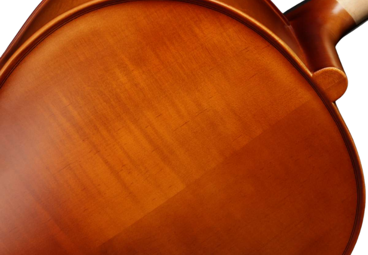 Arco Octogonal com Crina Animal