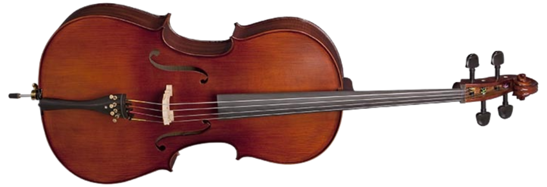 Violoncelo Eagle CE300 4/4 Master Series