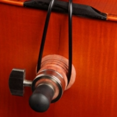 Corpo Maple e Braço