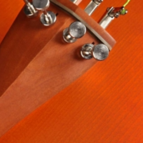 Arco Octogonal com Crina Animal