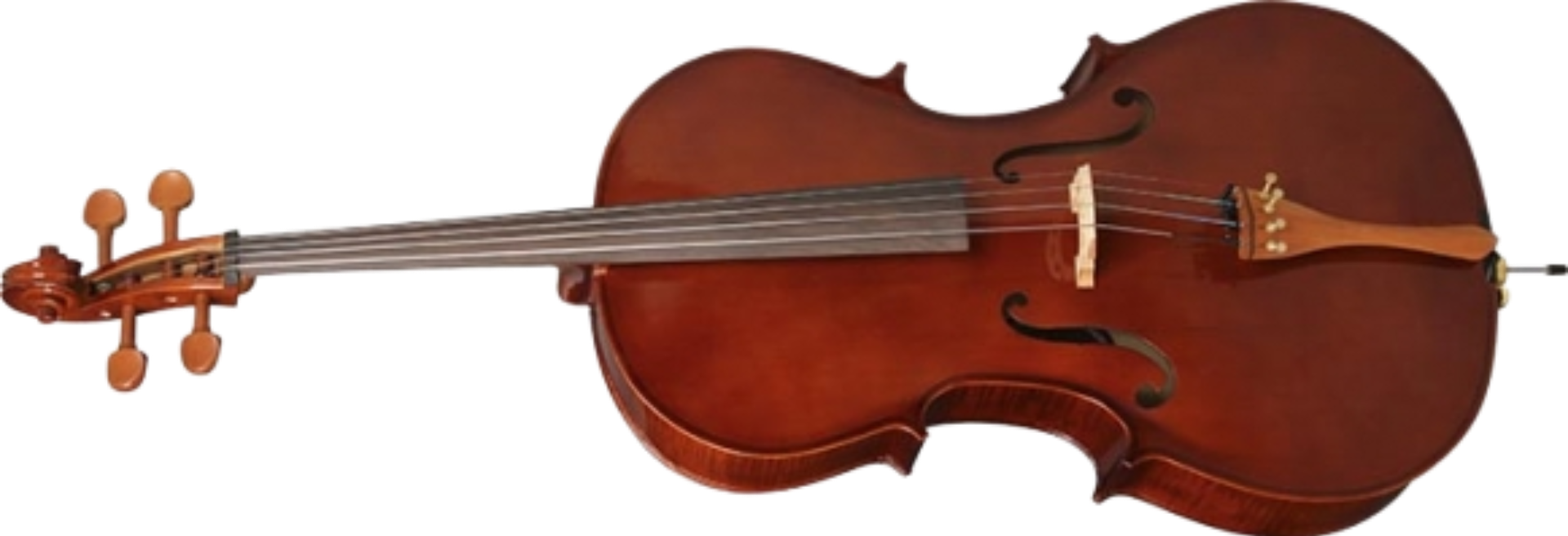 Violoncelo Hofma HCE100 4/4