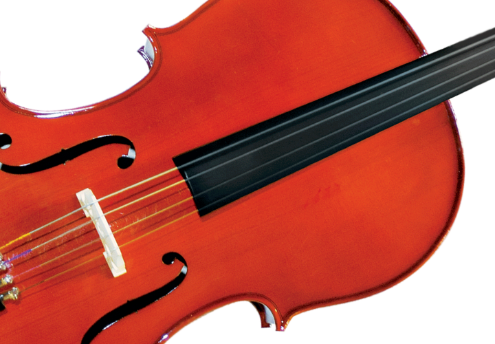 Corpo Maple Sólido e Design Tradicional