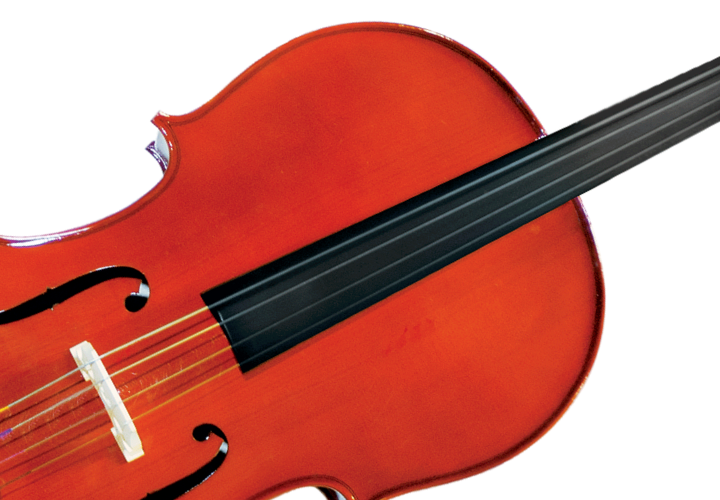 Fundo Maple com Filete de Madeira