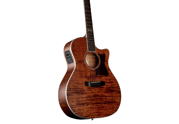 Eletrônica Fishman Presys II com Afinador