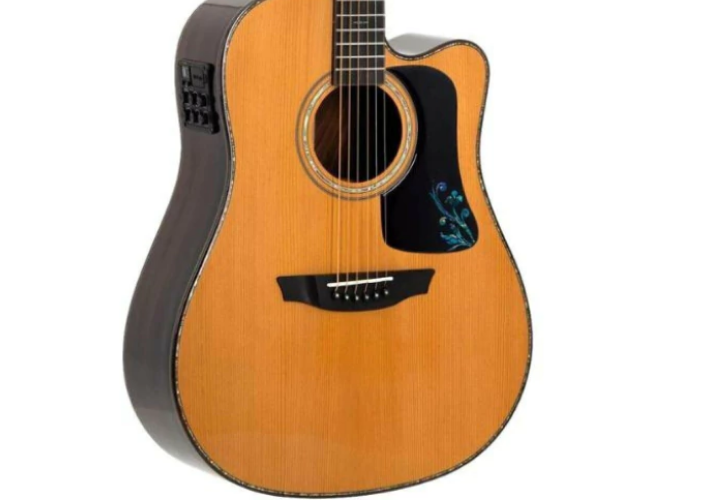 Pré Strinberg com Equalizador 4 Bandas