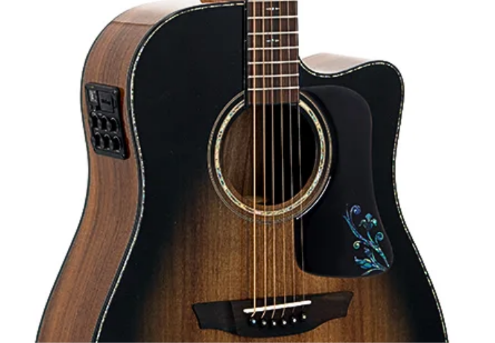 Pré Strinberg com Equalizador 4 Bandas